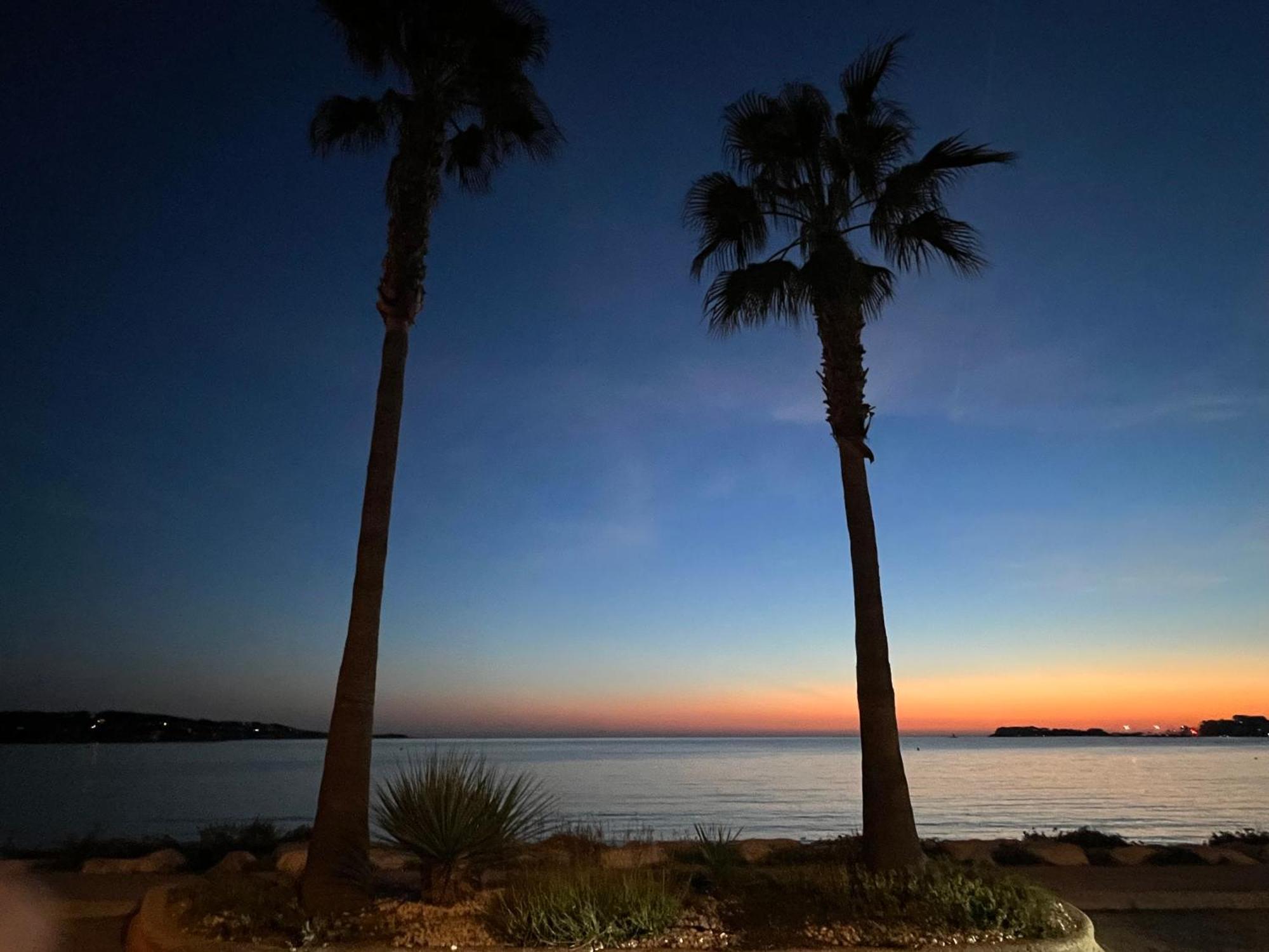 Petit Paradis A Sanary Avec Vue Mer Wifi Et Clim エクステリア 写真