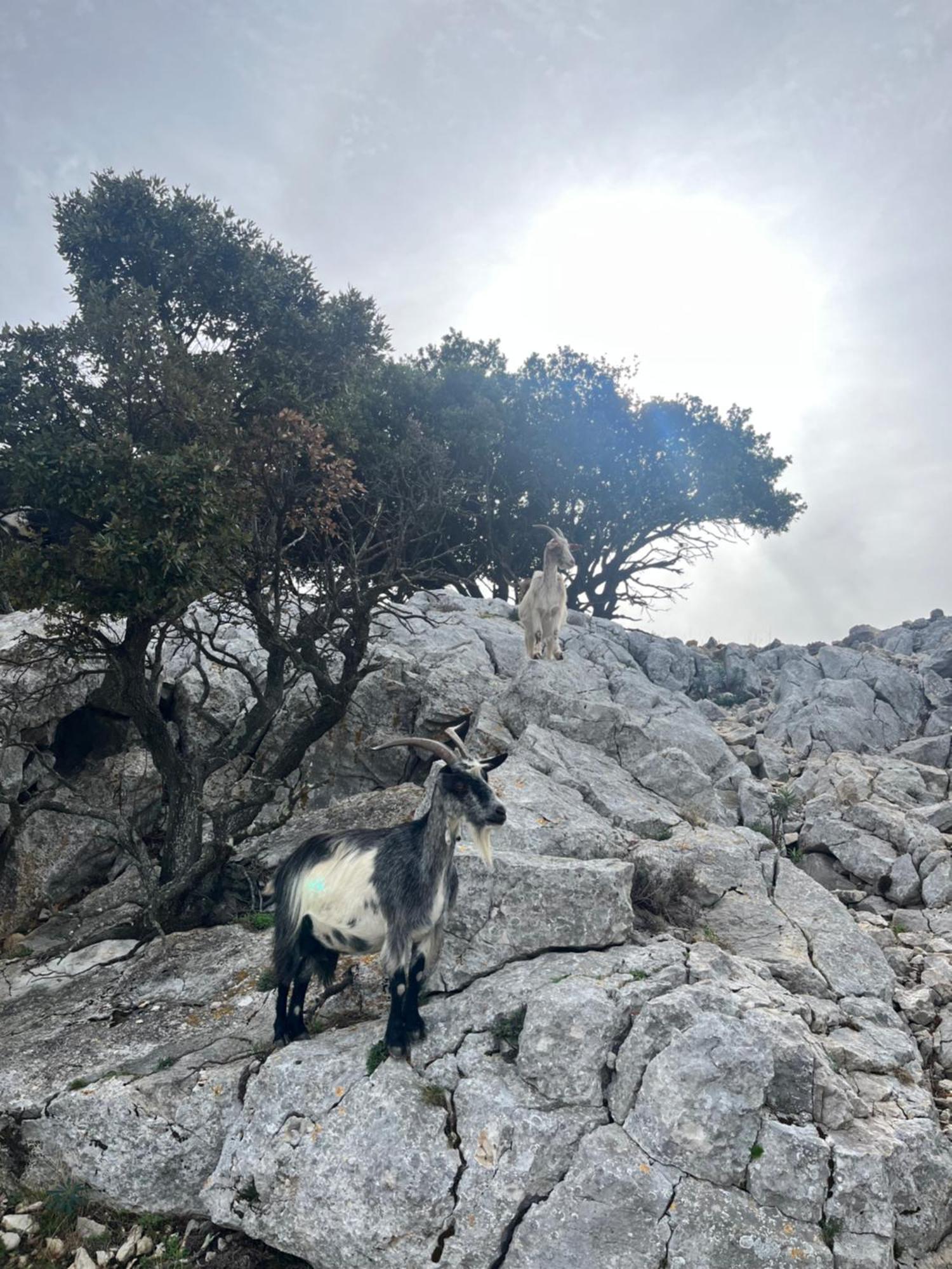 Petit Paradis A Sanary Avec Vue Mer Wifi Et Clim エクステリア 写真